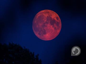 عکس تماشای ابرماه خونین، امشب در سراسر ایران