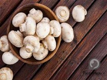 اموزش پرورش قارچ به صورت تخصصی