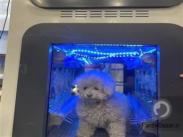 عکس <%# hl_post_title.Text %>