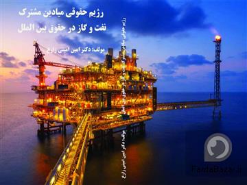عکس آگهی دکترامین امینی زارع ( وکالت شرکت ها، تجارت، بازار سرمایه و اقتصاد بین الملل)