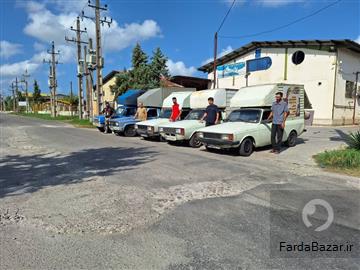 عکس آگهی قالیشویی در انزلی